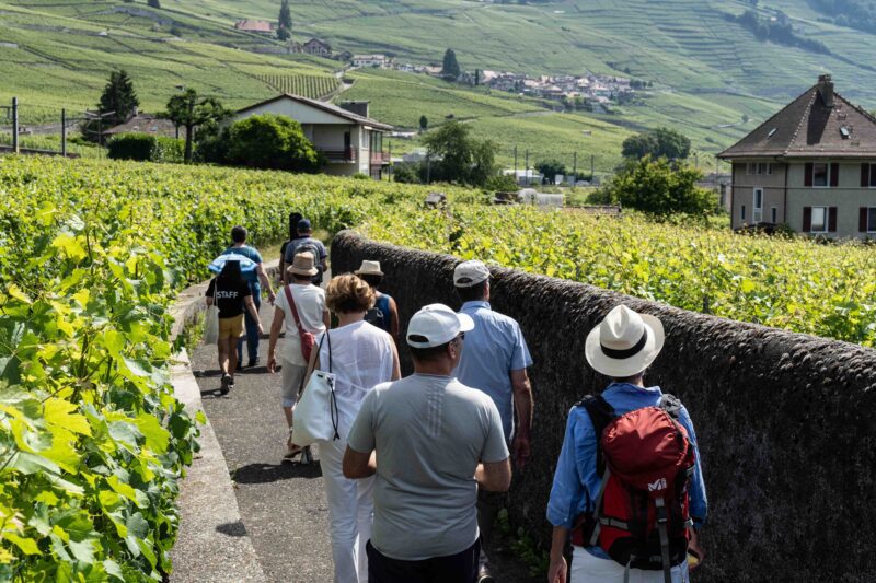 20.06.2026  Balades musicales 10h30, Lavaux